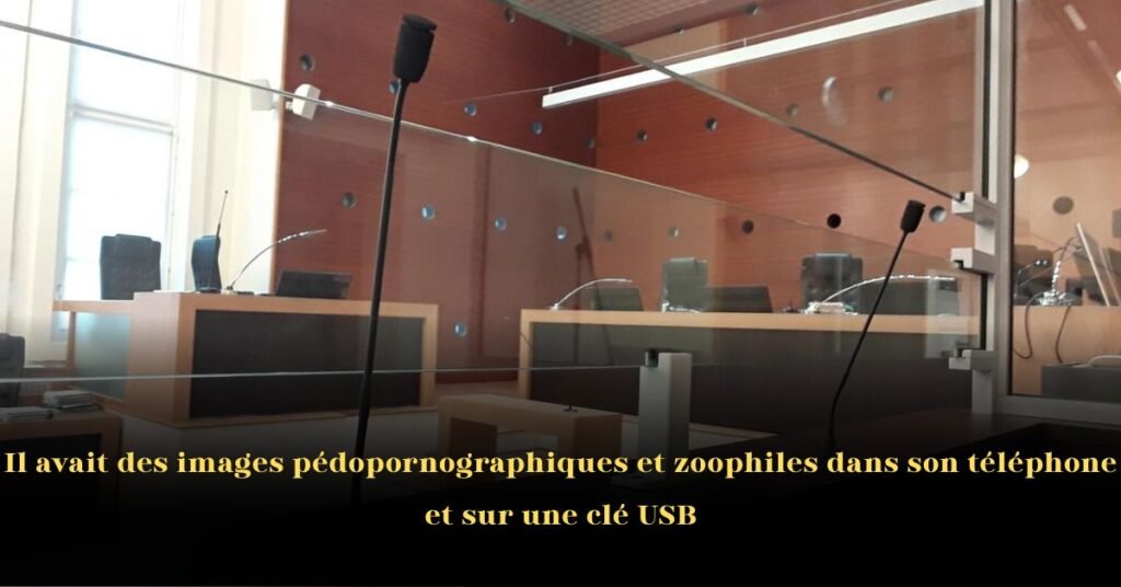 Il avait des images pédopornographiques et zoophiles dans son téléphone et sur une clé USB