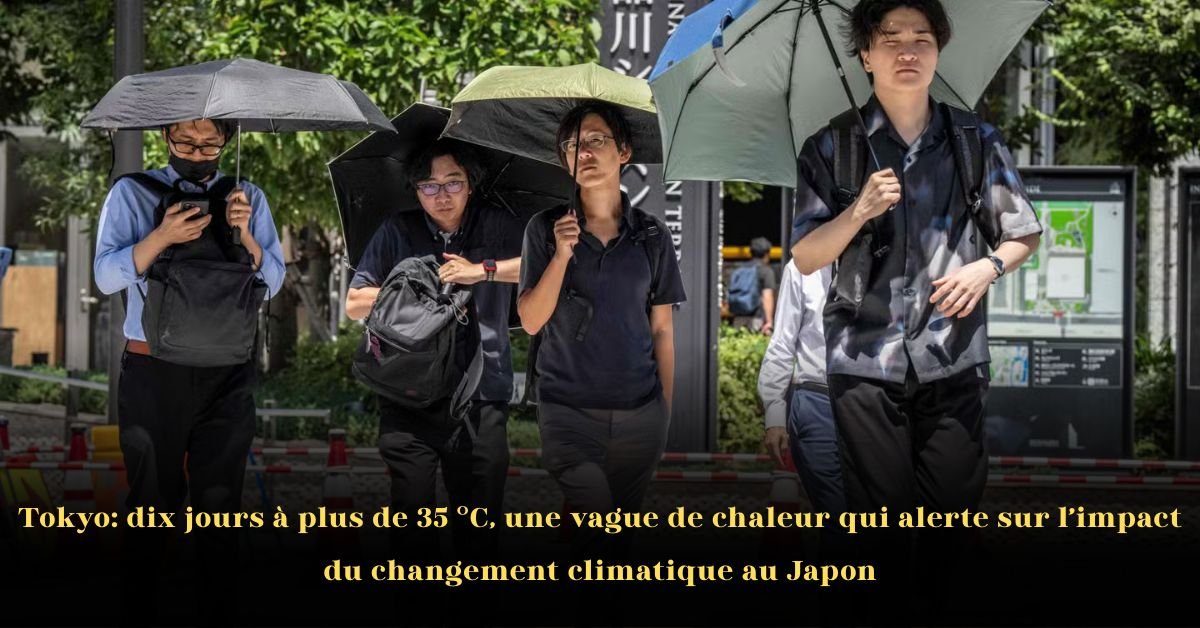 Tokyo: dix jours à plus de 35 °C, une vague de chaleur qui alerte sur l’impact du changement climatique au Japon