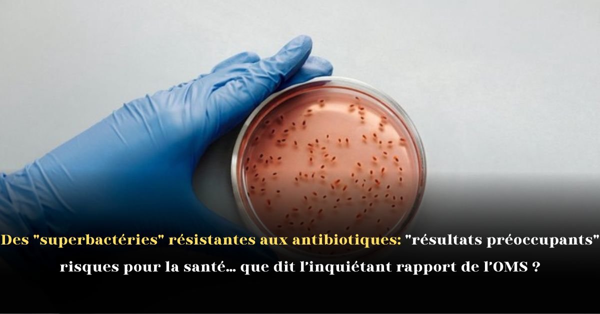 Des superbactéries résistantes aux antibiotiques: résultats préoccupants, risques pour la santé… que dit l’inquiétant rapport de l’OMS ?
