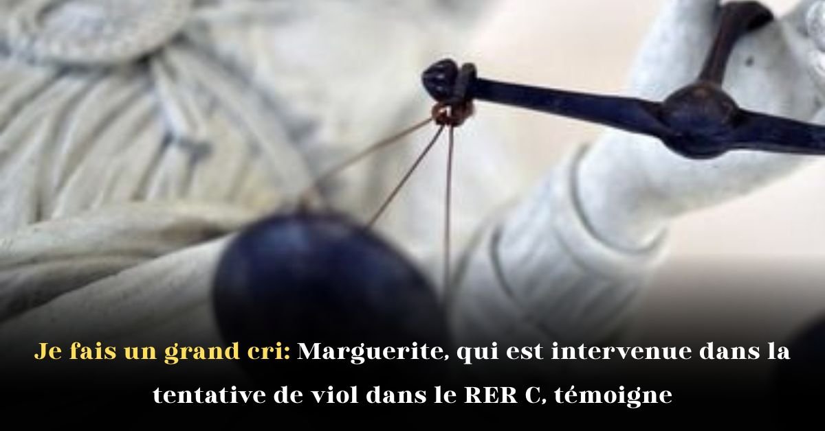 Je fais un grand cri: Marguerite, qui est intervenue dans la tentative de viol dans le RER C, témoigne