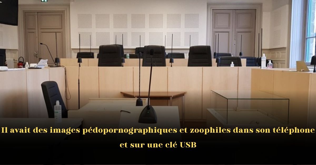 Il avait des images pédopornographiques et zoophiles dans son téléphone et sur une clé USB