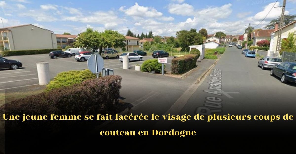 Une jeune femme se fait lacérer le visage de plusieurs coups de couteau en Dordogne
